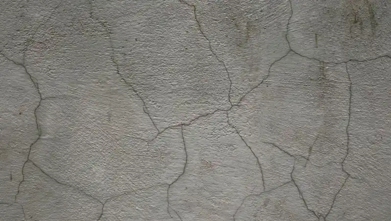 Canlı Beton İle İnovasyon: Çatlakları Kendi Kendine Onarıyor!