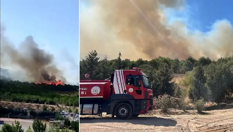 Gebze'de Yangın Paniği: Ormanlık Alanda Büyük Tehlike