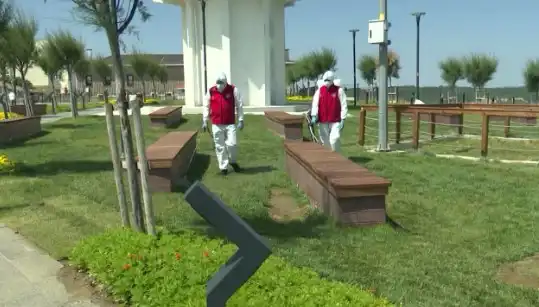 Kene Tehdidi Artıyor: Halka Açık Alanlarda İlaçlama Seferberliği!
