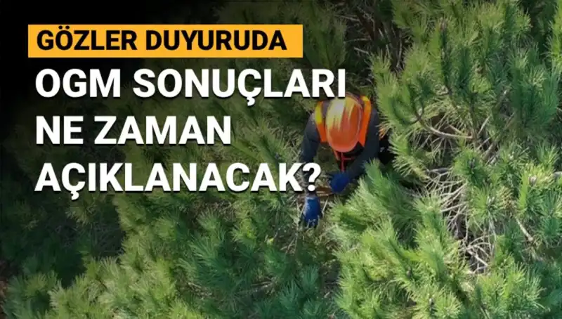 Orman Genel Müdürlüğü'nden Personel Alımının Ayrıntıları ve Başvuru Sonuçları Hakkında Beklenen Tarih