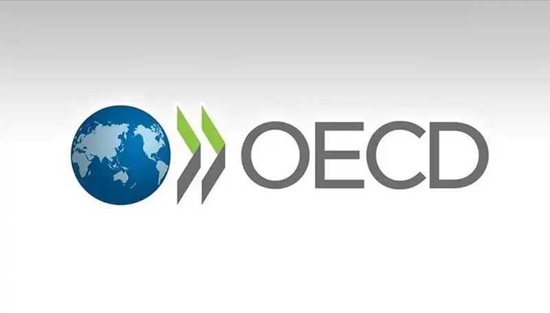 OECD'den Türkiye Büyüme Tahmininde Çarpıcı Güncelleme!