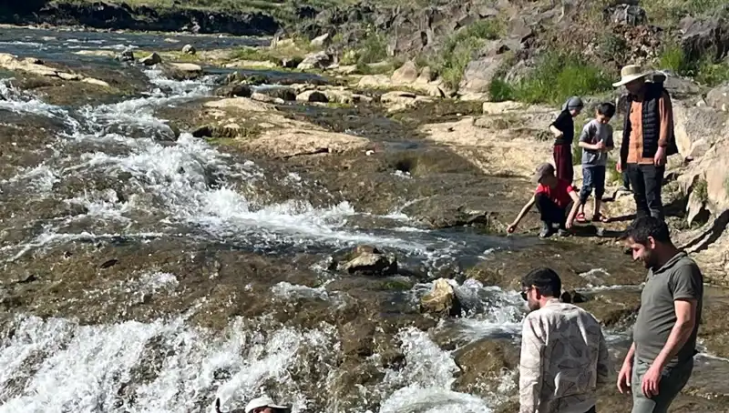 İnci Kefalinin Büyüleyici Göçü: Doğa ve Turizm Buluşuyor