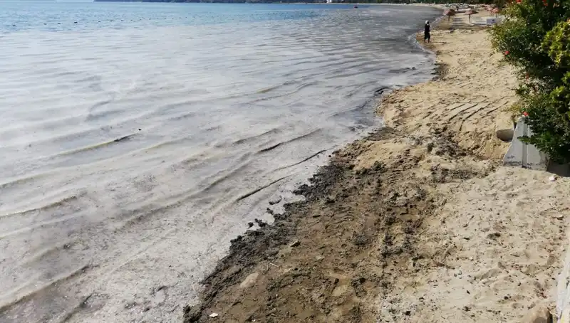 Müsilajla Mücadelede Çarpıcı Gelişme: 268 İşletme Kapatıldı