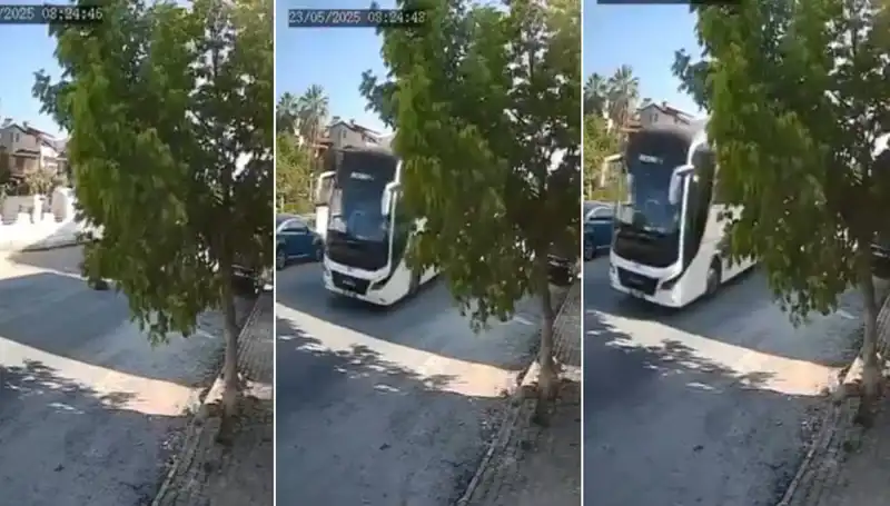Yolda Yatan Köpeği Ezip Giden Araç, Hayvan Severleri Şokta!