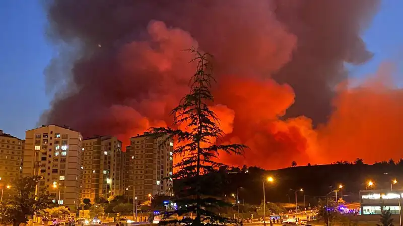 Bursa'da Alevler Şehri Sarmaladı: Yangınların Nedenleri ve Etkileri