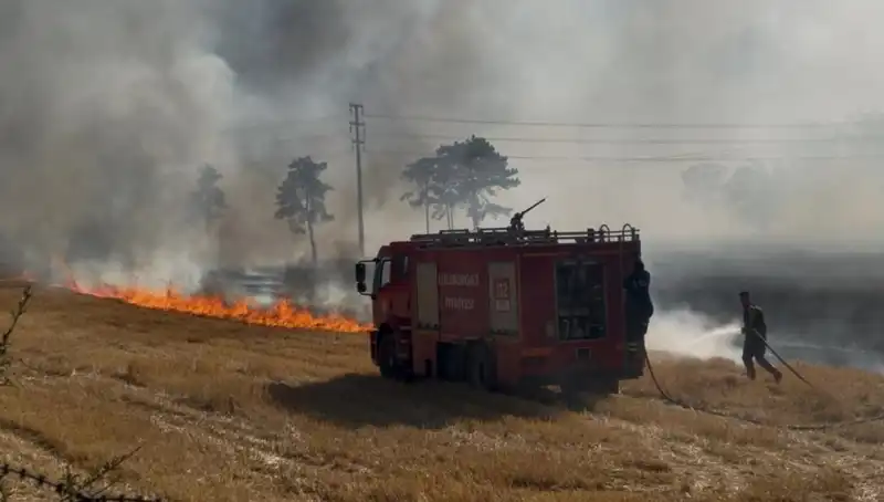 Kırklareli'nde Anız Yangını: Tarım Alanları Risk Altında!