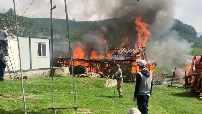 Akçakoca'da Samanlık Yangını, Bölgeyi Kısa Sürede Küle Döndürdü